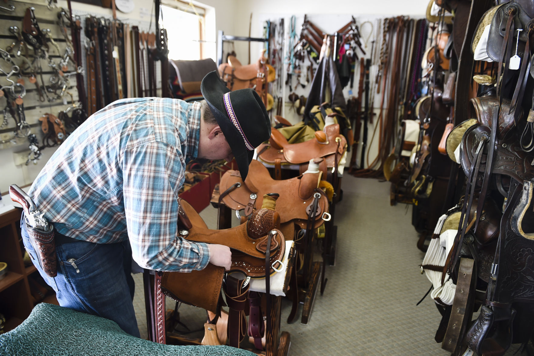 Sting Saddlery
